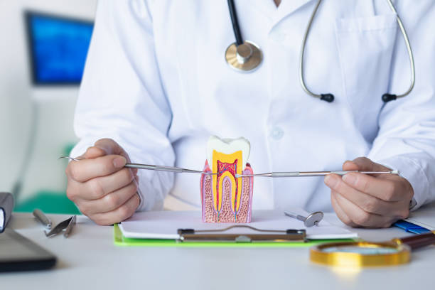 Best Urgent Dental Care for Toothaches in Nederland, CO